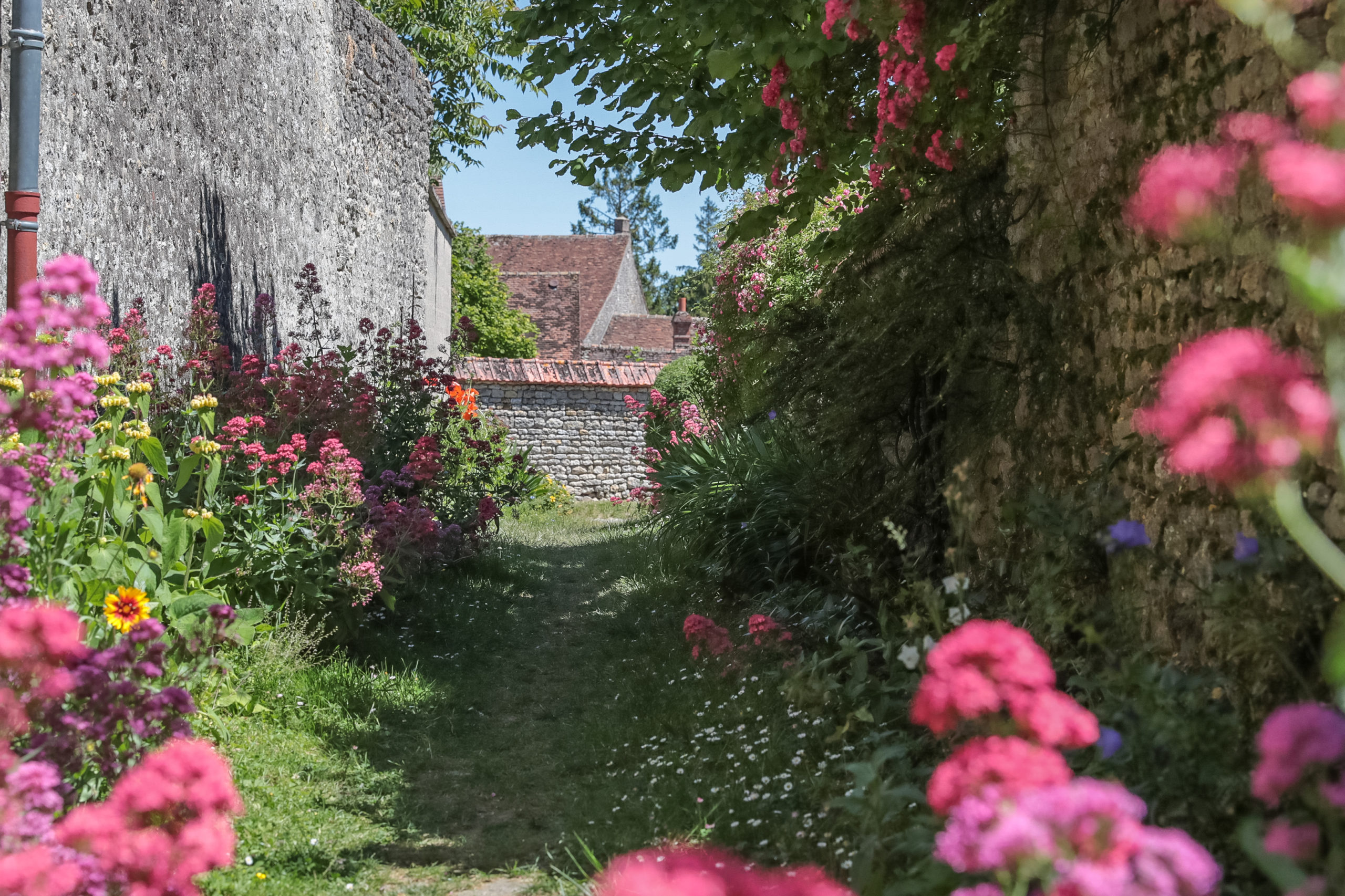 Route-de-la-Rose-Yèvre-le-Châtel-Crédit-photo-IOAproduction-Sébastien-Richard-18-scaled